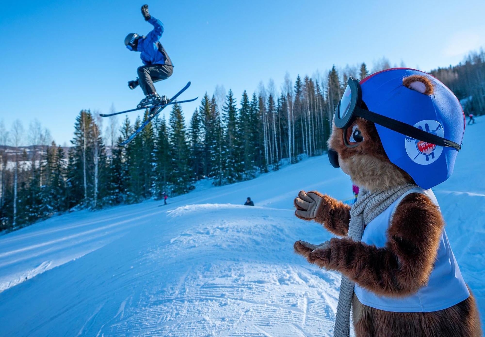 Hassela Ski Resort Ngoại thất bức ảnh