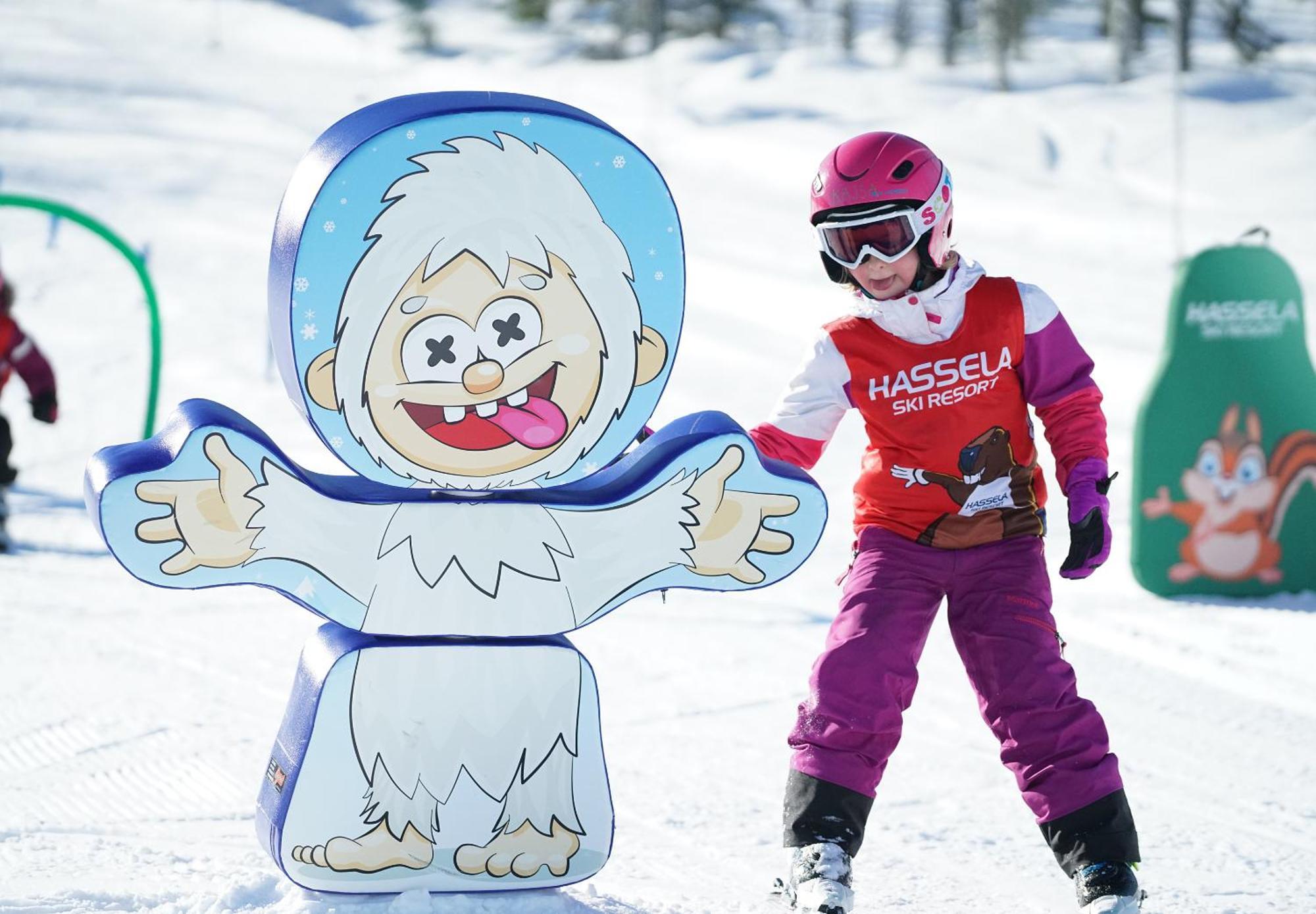 Hassela Ski Resort Ngoại thất bức ảnh
