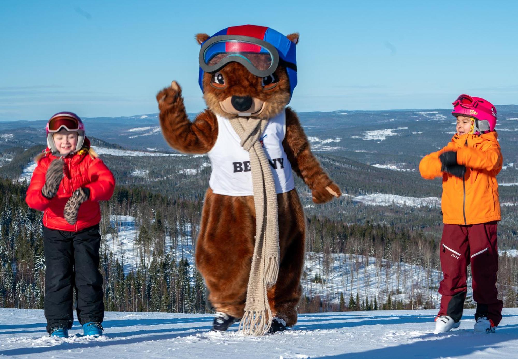 Hassela Ski Resort Ngoại thất bức ảnh